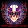 3db8ff wingsonhigh