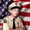 B4a2a3 mayberry desktop theme 14848 11