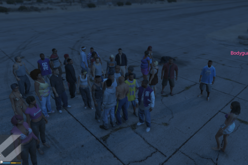 31 Bodyguard advanced menu