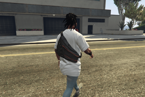 Back bag for Franklin
