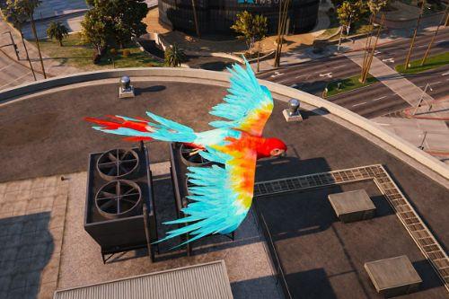 Parrot [Replace]