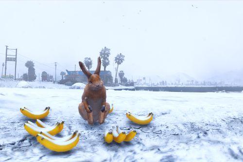 Snowie's Poses / Animations - Furry Friends